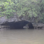 Die Fledermaushöhle