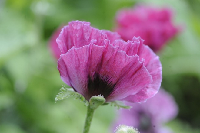 _20100621_095633_low
