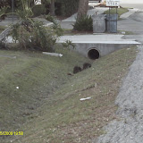 IMAG0049.JPG