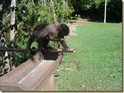 IMG_0396 IMG_0396