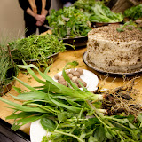 SF APRIL11 LFFC-012.JPG