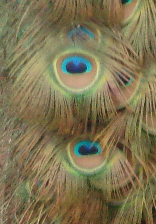 [DSC05943%255B6%255D.jpg]