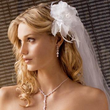 Bridal Hairstyles For Long Hair With Veil
