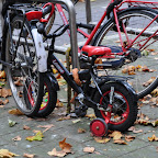 DSC_0766.jpg