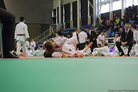 IMG_2196.jpg