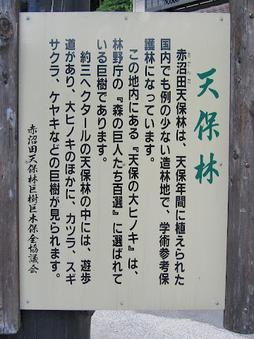 赤沼田天保林の説明