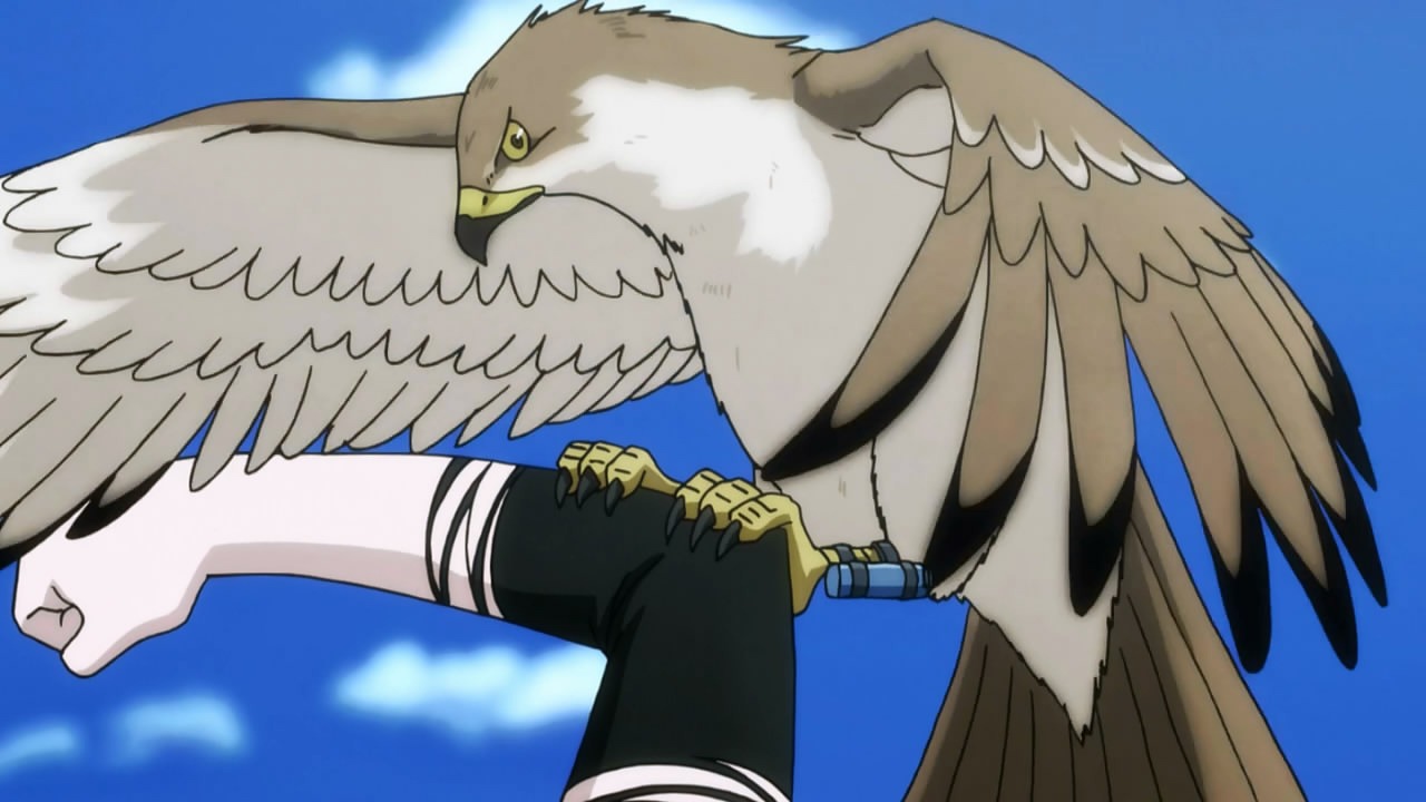 [%255BHorribleSubs%255D%2520Hunter%2520X%2520Hunter%2520-%252040%2520%255B720p%255D.mkv_snapshot_21.25_%255B2012.07.21_23.25.10%255D%255B2%255D.jpg]