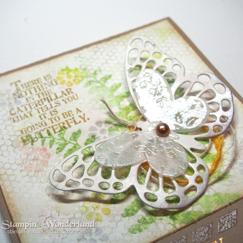 B D card 2015 04 0808.jpg B D card 2015 04 0808