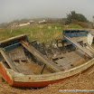 Susan Andrews - Washed Up.jpg