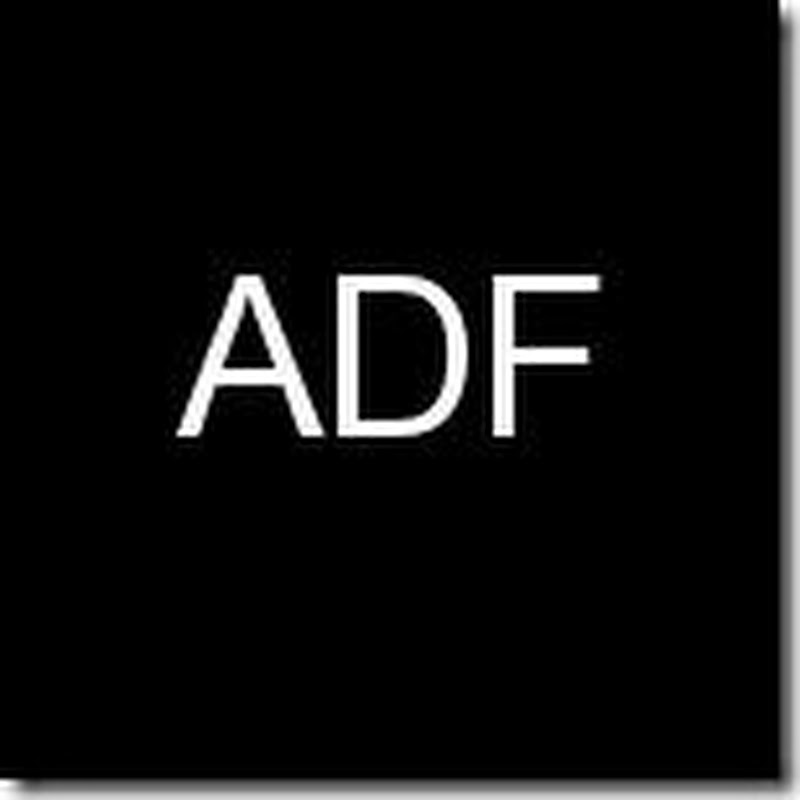 ADF Framework and JDeveloper are the Driving Force Behind Oracle’s Fusion technology