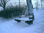 Bench in winter Bench in winter