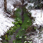 20091201 Allgaeu 1059 [640x480].JPG