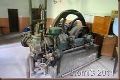 IMG_3996 IMG_3996