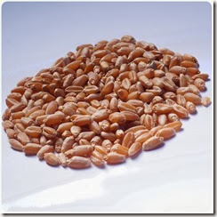 Wheat_seeds