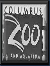 colzoo