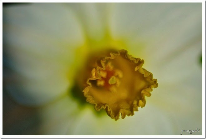 DSC_2057 DSC_2057