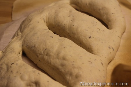 fougasse_1175 fougasse_1175