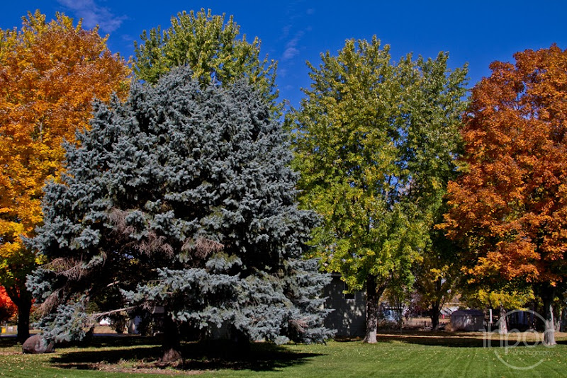 IMG_3024 IMG_3024