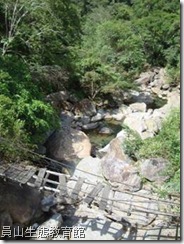 從前的吊橋 從前的吊橋