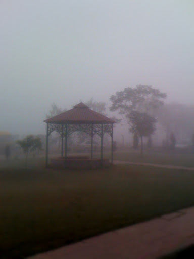 Suscet Tangori