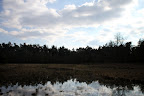 IMG_4928.JPG