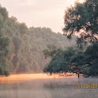 IMG_7189.JPG