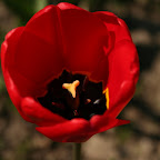 IMG_2500.JPG