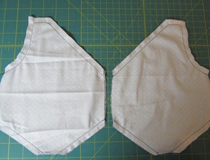 IMG_2504 IMG_2504