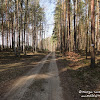 dsc06737.jpg