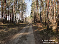 dsc06737.jpg
