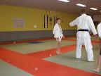Judo - 3 juli 2009: Foto