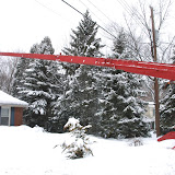 Crane Hemlock