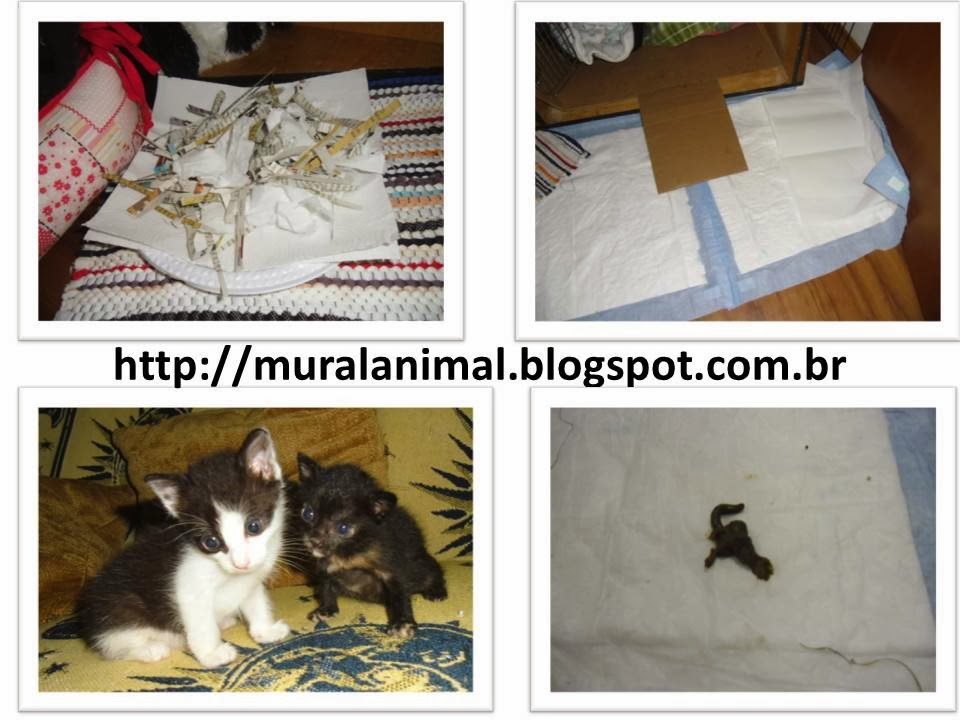 [Slide4%255B3%255D.jpg]