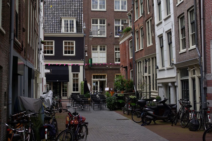 IMGP7153.jpg