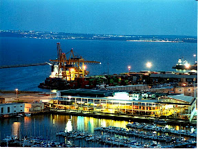Zona Panoramis con operación terminal contenedor