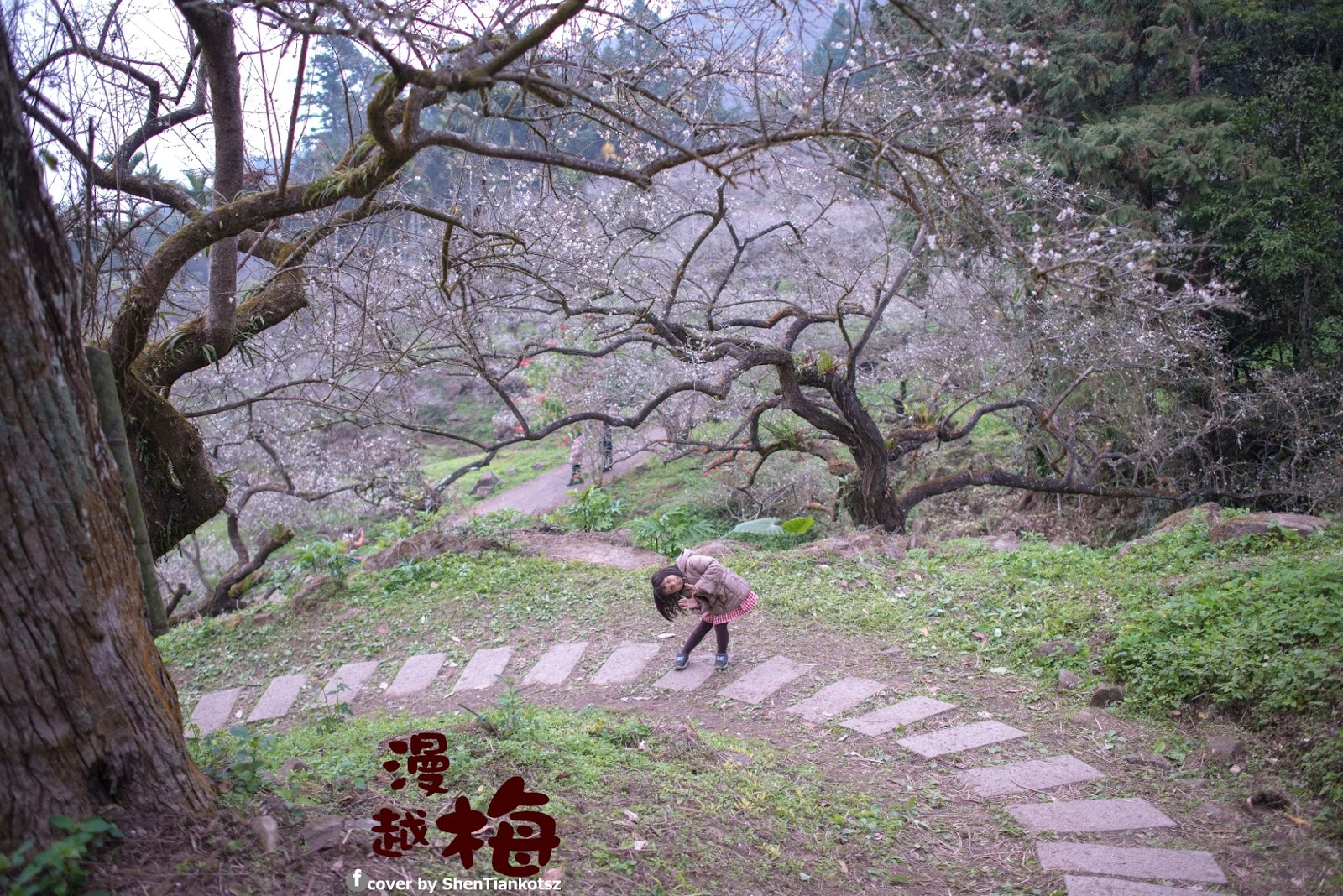 http://lh4.ggpht.com/-YjiB_oI4ddY/VK3Lmb59dWI/AAAAAAAAPKk/oVWSq6r-d8k/s1600/ShenTiankotszDSC_3877.jpg