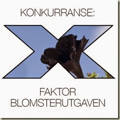 x-faktorsvart