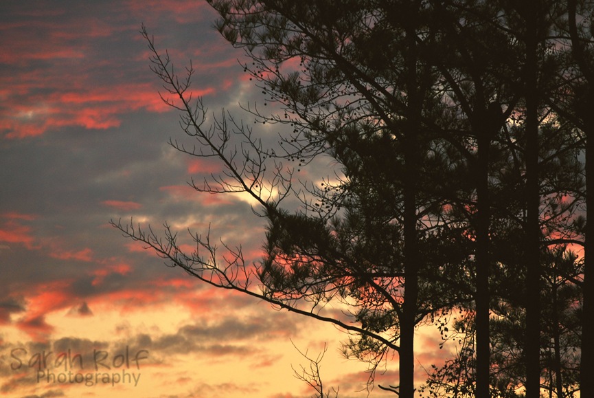 [DSC_01033.jpg]