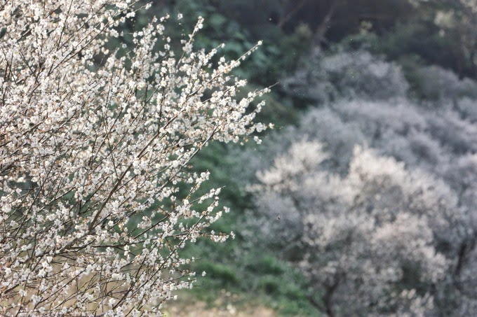 2014_0105_113602 2014_0105_113602