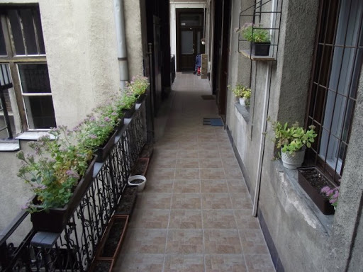 DSCF5612.JPG