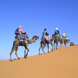 Into the sahara
