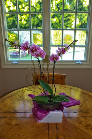 IMG_6786 IMG_6786