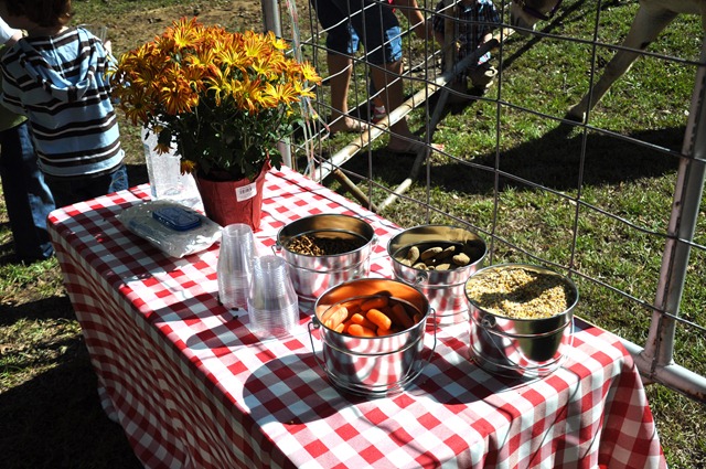 [the%2520farm%2520party%25203rd%2520birthday%2520016%255B3%255D.jpg]