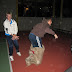 image_from_picasa