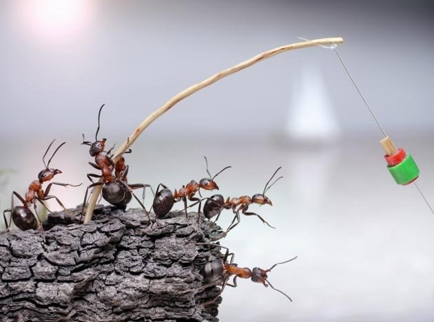[fantasy-world-of-ants5%255B3%255D.jpg]