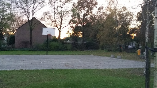 Basketbal Veldje