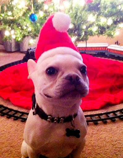 Kermit Escargot Yock is ready for Santa!  Now, where could he be?