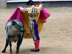 toros