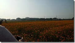 IMG_1149 IMG_1149