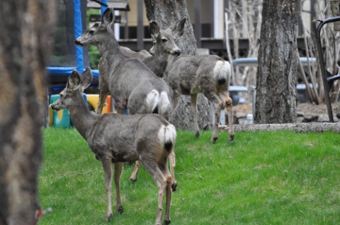 DSC_0066.jpg DSC 0066